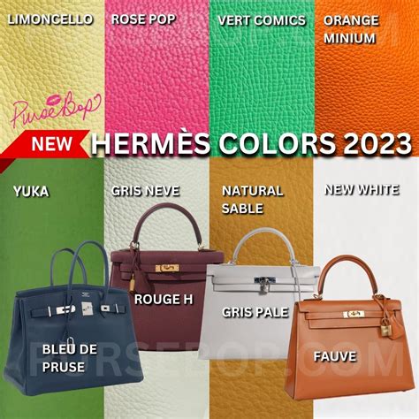 hermes kelly 2019 colors|Hermes birkin color chart.